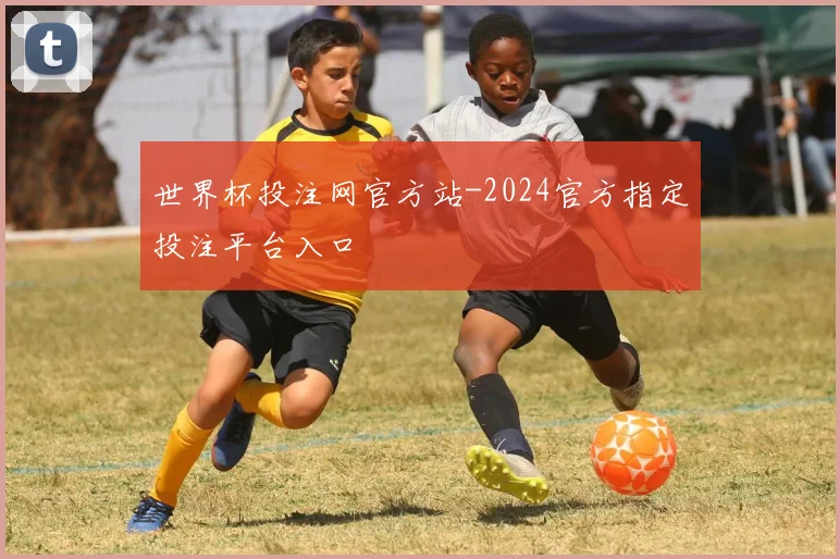 世界杯投注网官方站-2024官方指定投注平台入口