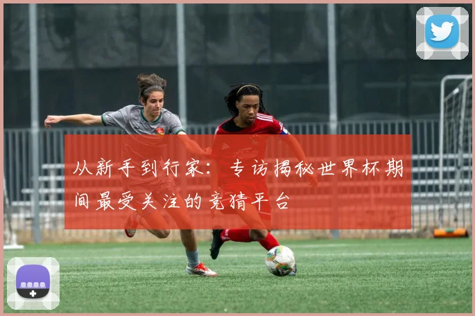 从新手到行家:专访揭秘世界杯期间最受关注的竞猜平台