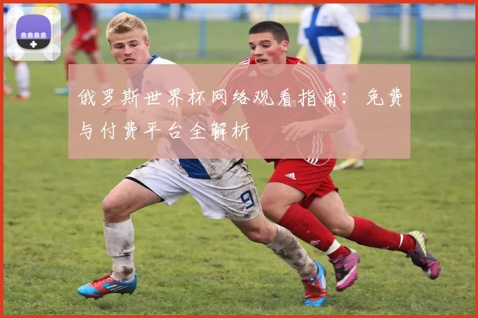 俄罗斯世界杯网络观看指南：免费与付费平台全解析