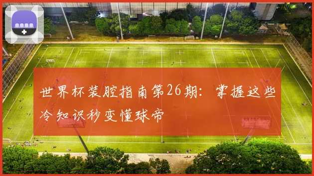 世界杯装腔指南第26期:掌握这些冷知识秒变懂球帝