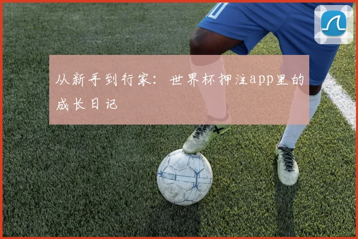 从新手到行家:世界杯押注app里的成长日记