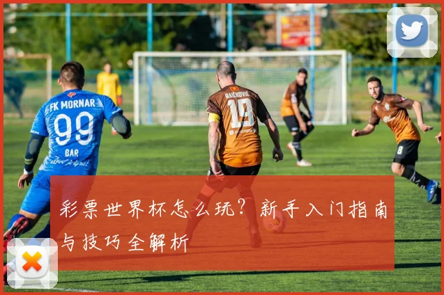 彩票世界杯怎么玩?新手入门指南与技巧全解析