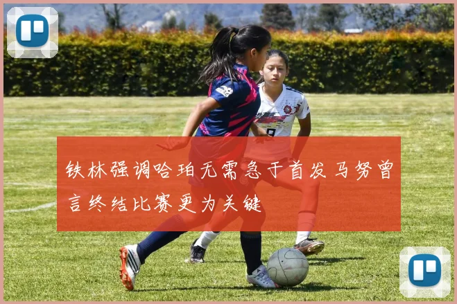 铁林强调哈珀无需急于首发马努曾言终结比赛更为关键