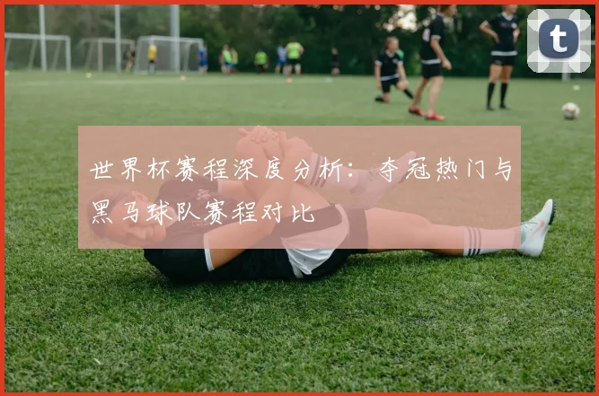 世界杯赛程深度分析：夺冠热门与黑马球队赛程对比