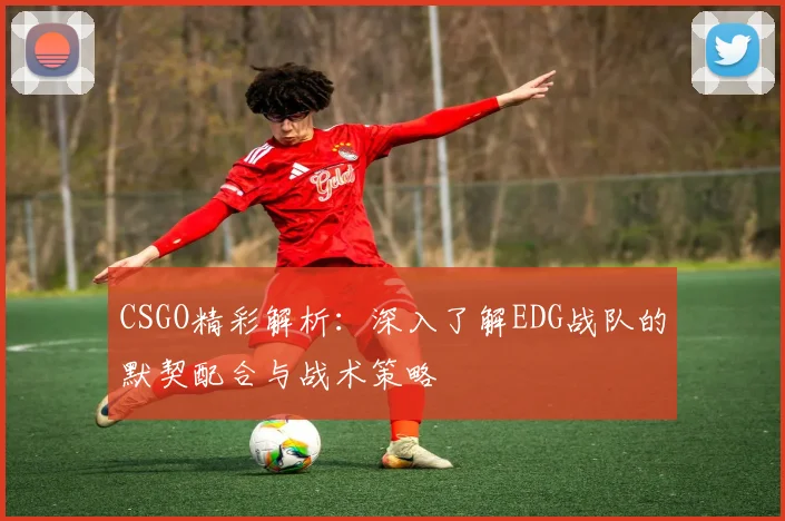 CSGO精彩解析：深入了解EDG战队的默契配合与战术策略