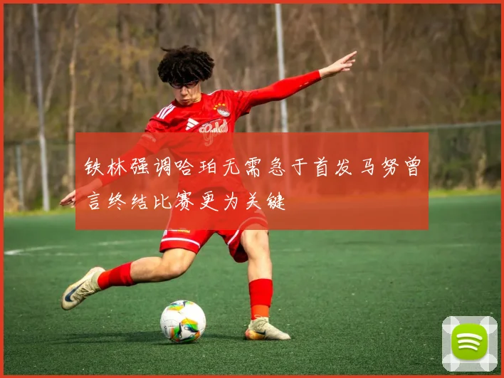 铁林强调哈珀无需急于首发马努曾言终结比赛更为关键