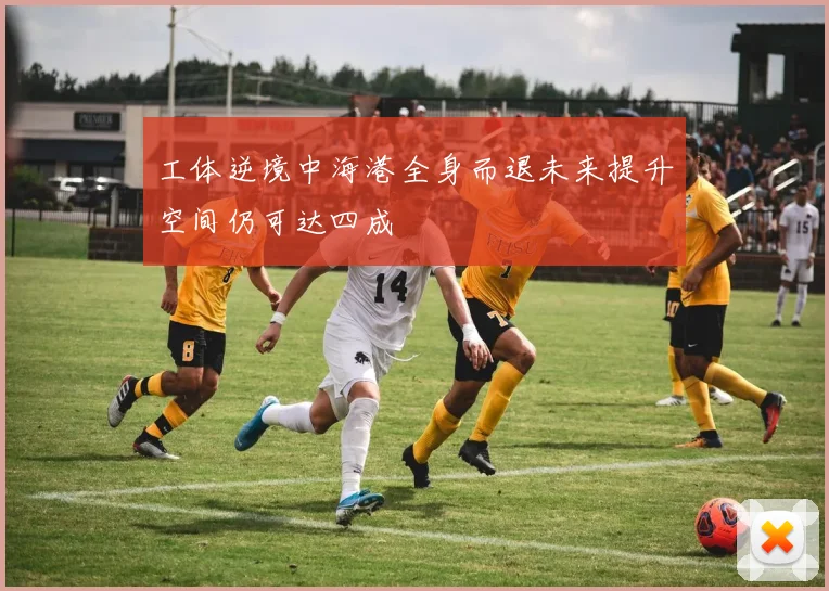 工体逆境中海港全身而退未来提升空间仍可达四成