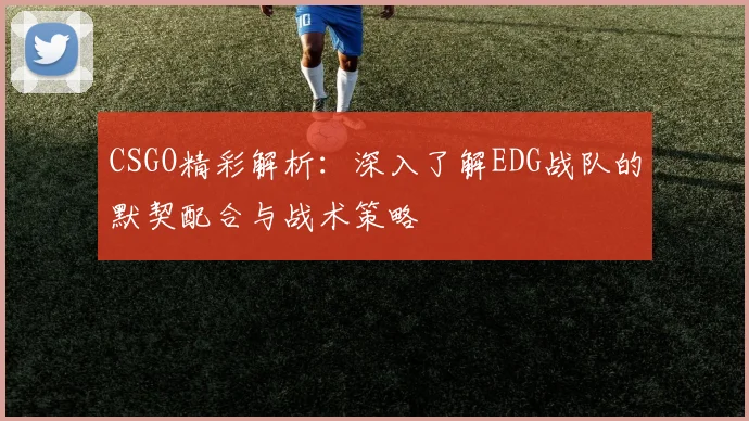 CSGO精彩解析:深入了解EDG战队的默契配合与战术策略