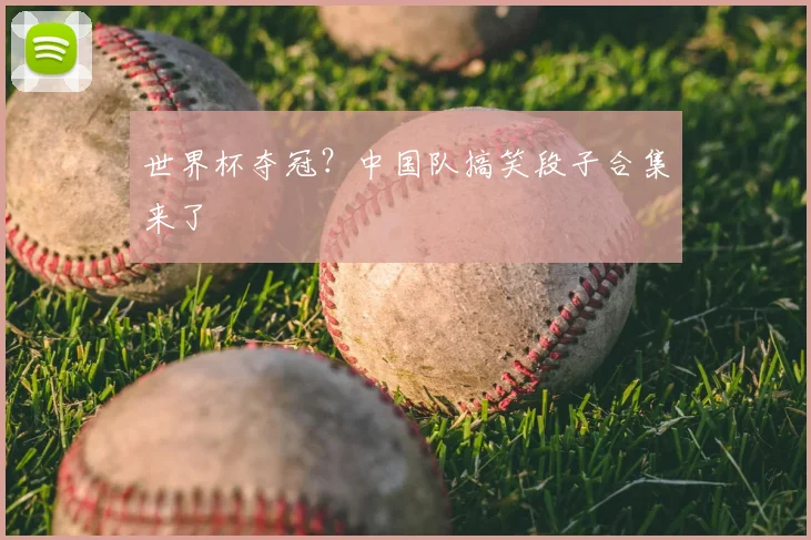 世界杯夺冠？中国队搞笑段子合集来了