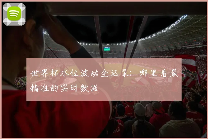 世界杯水位波动全记录:哪里看最精准的实时数据