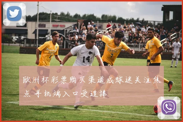 欧洲杯彩票购买渠道成球迷关注焦点 手机端入口受追捧
