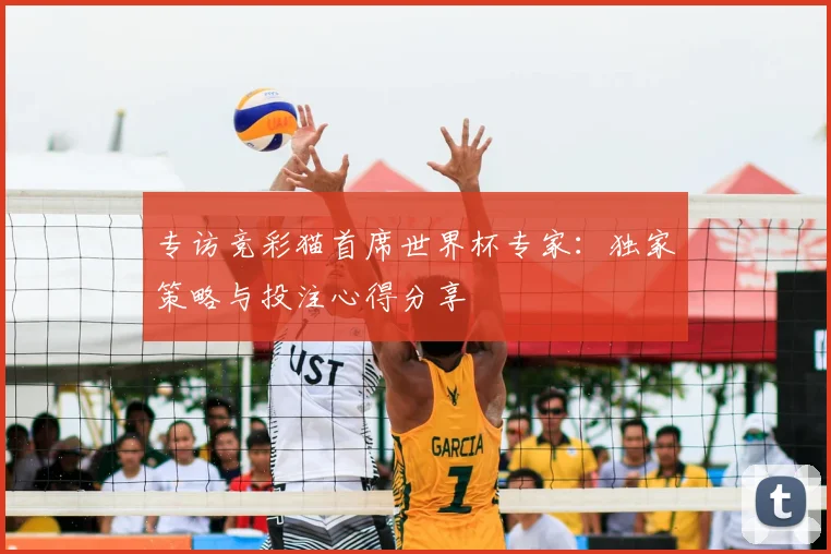 专访竞彩猫首席世界杯专家:独家策略与投注心得分享